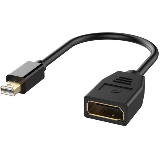 Mini DisplayPort naar DisplayPort